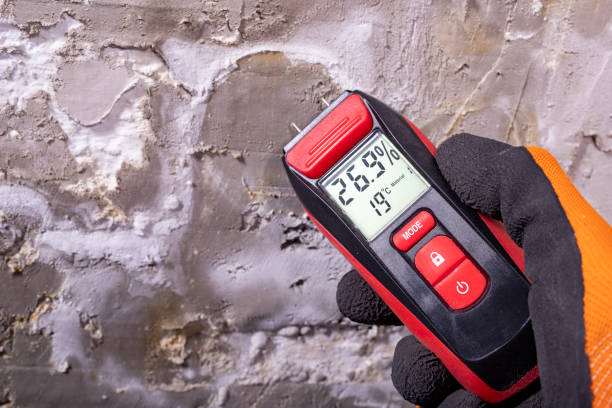 Best Attic Mold Remediation in Crestline, CA
